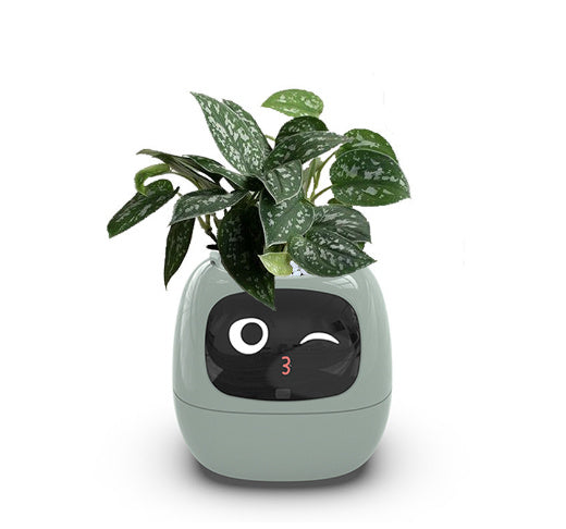Smart Planter Sensors
